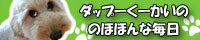 ミックス犬ダップーくーかいののほほんな毎日 ブログバナー